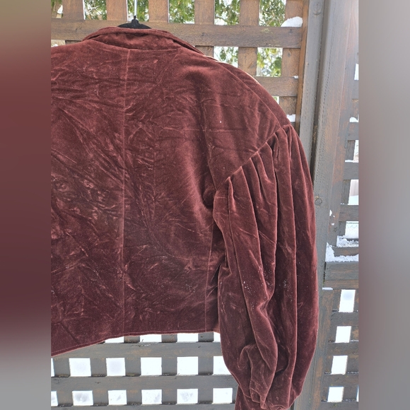 Vintage Velvet Blazer - Picture 10 of 11